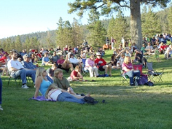 Crowd at an outdoor concert