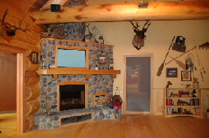 Discovery Centre Fireplace