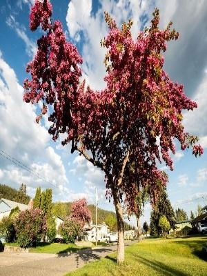 Profile picture of Vikram Sodak