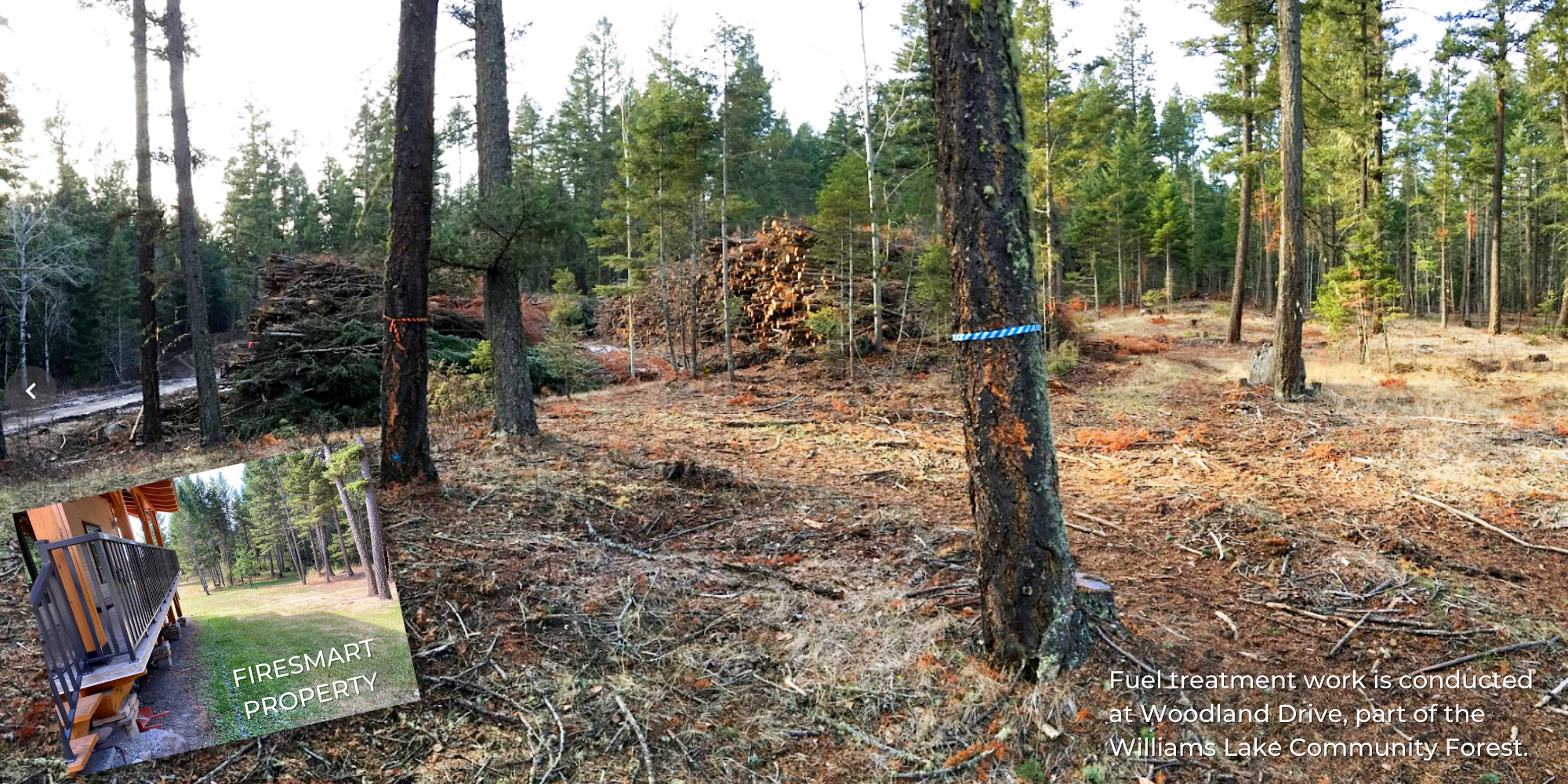 Community WIldfire Protection - Lead PHOTO (1)