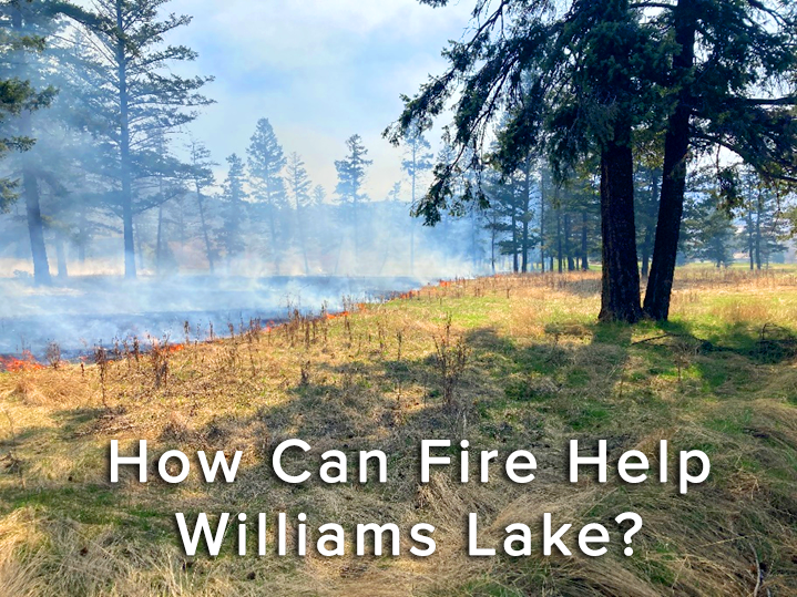 Article1-WL-Community-Wildfire-Plan-WithLink-carousel2