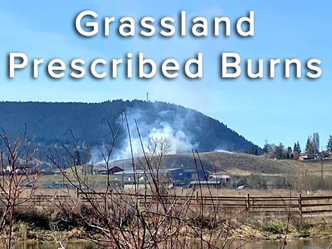 Article1-WL-Community-Wildfire-Plan-WithLink-carousel3