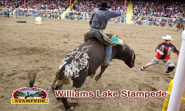 Profile picture of 3 test